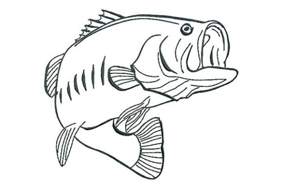Bass Fish Calligraphy Style Embroidery Review